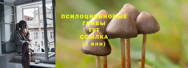 синтетический гашиш Армянск