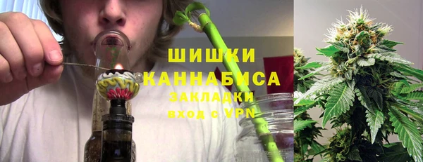 амф Арсеньев